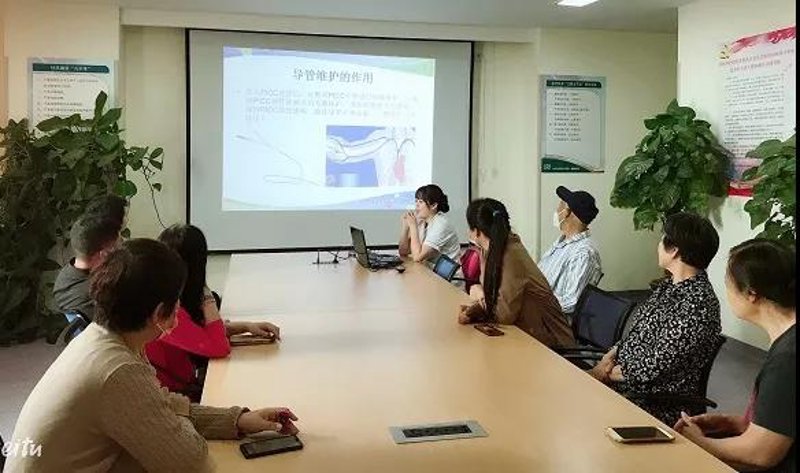 站群程序出售:构建电商王国的秘密武器